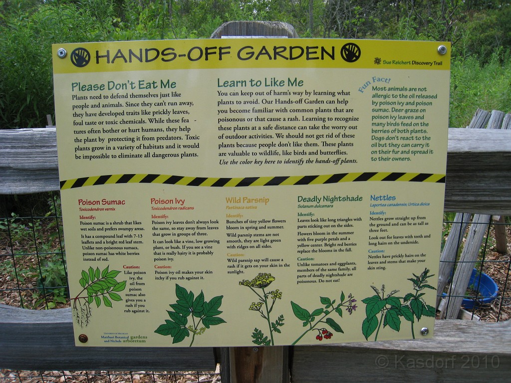 Matthaei Botanical Gardens 2010 0120.jpg - A small garden will be found along the way.